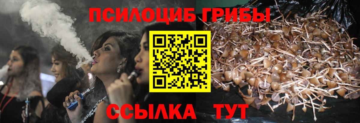 Галлюциногенные грибы MAGIC MUSHROOMS Чебоксары