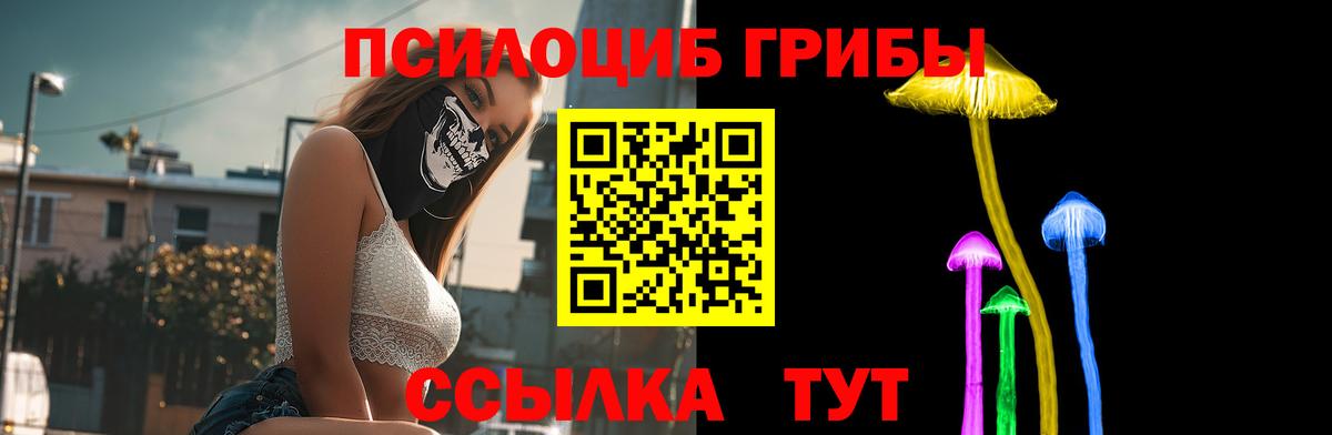 Чебоксары  Псилоцибиновые грибы Magic Shrooms  Вход с VPN  Галлюциногенные грибы GOLDEN TEACHER 